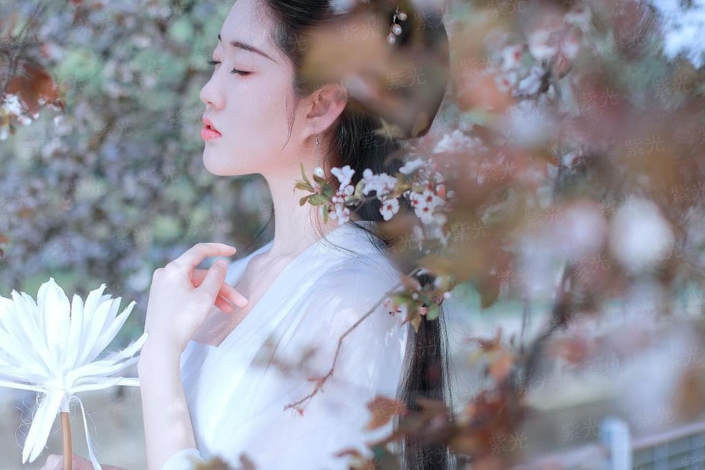 时间游记